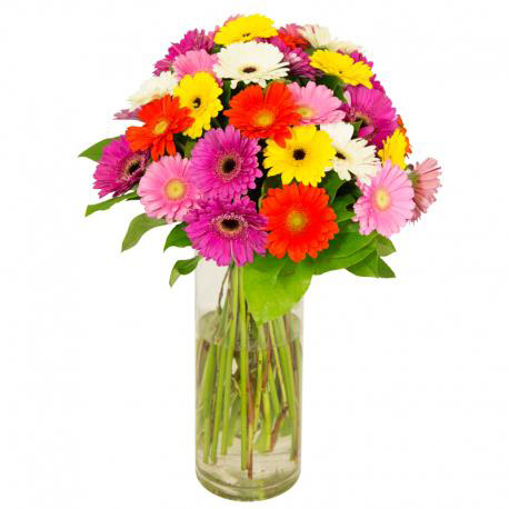 Plantes Bouquet