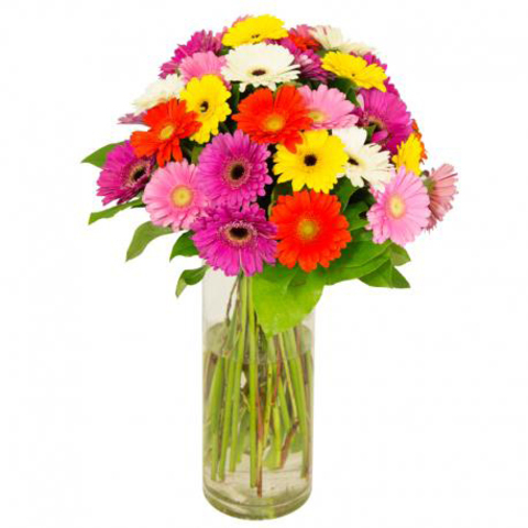 Plantes Bouquet