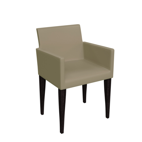 Assises Fauteuil DIEGO