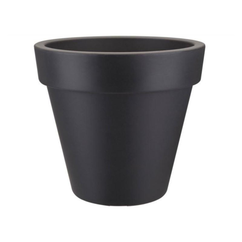 Plantes Pot simple
